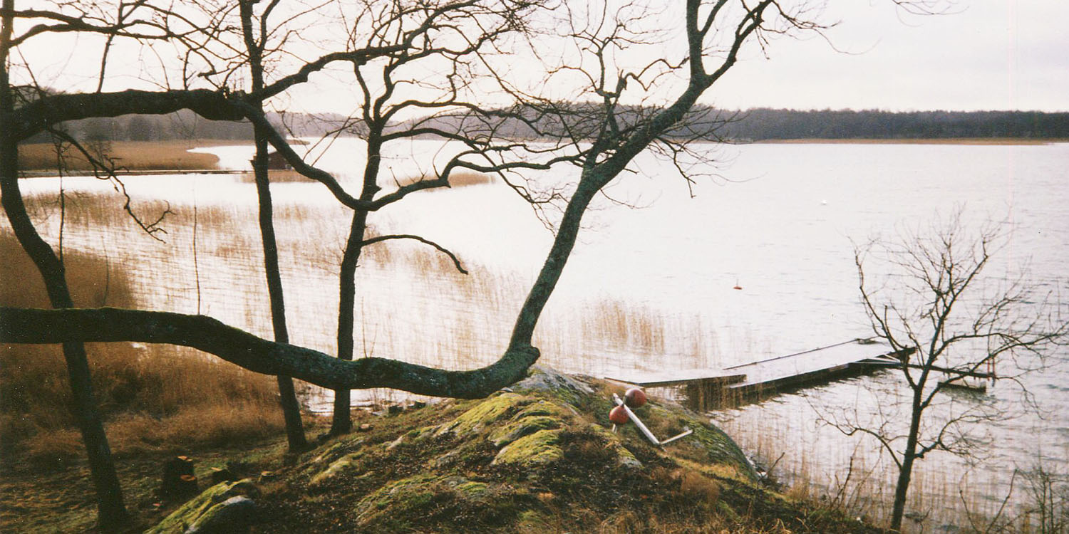 En vy genom grenar ut över vatten. Nedanför ligger en brygga.