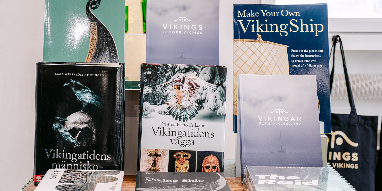 vikingabocker_1500x750.jpg
