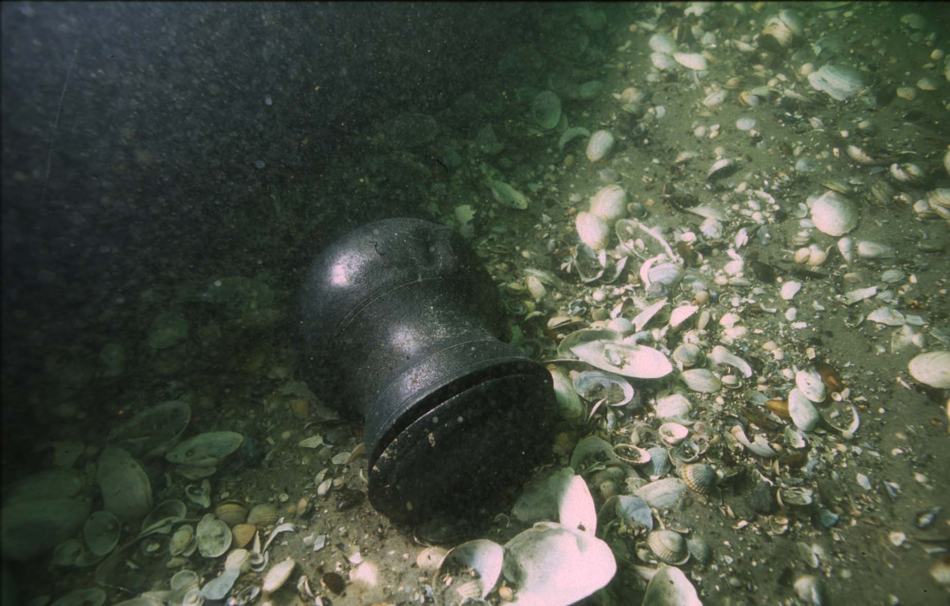 dk020825-01-06sd.jpg