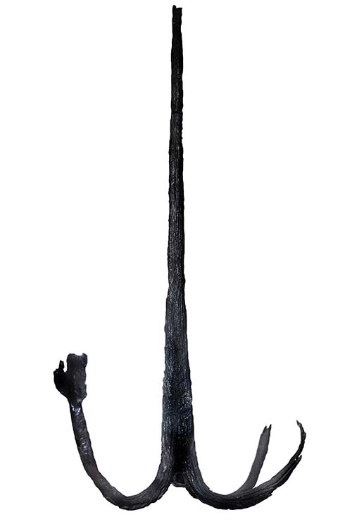 Änterdragg-2.jpg