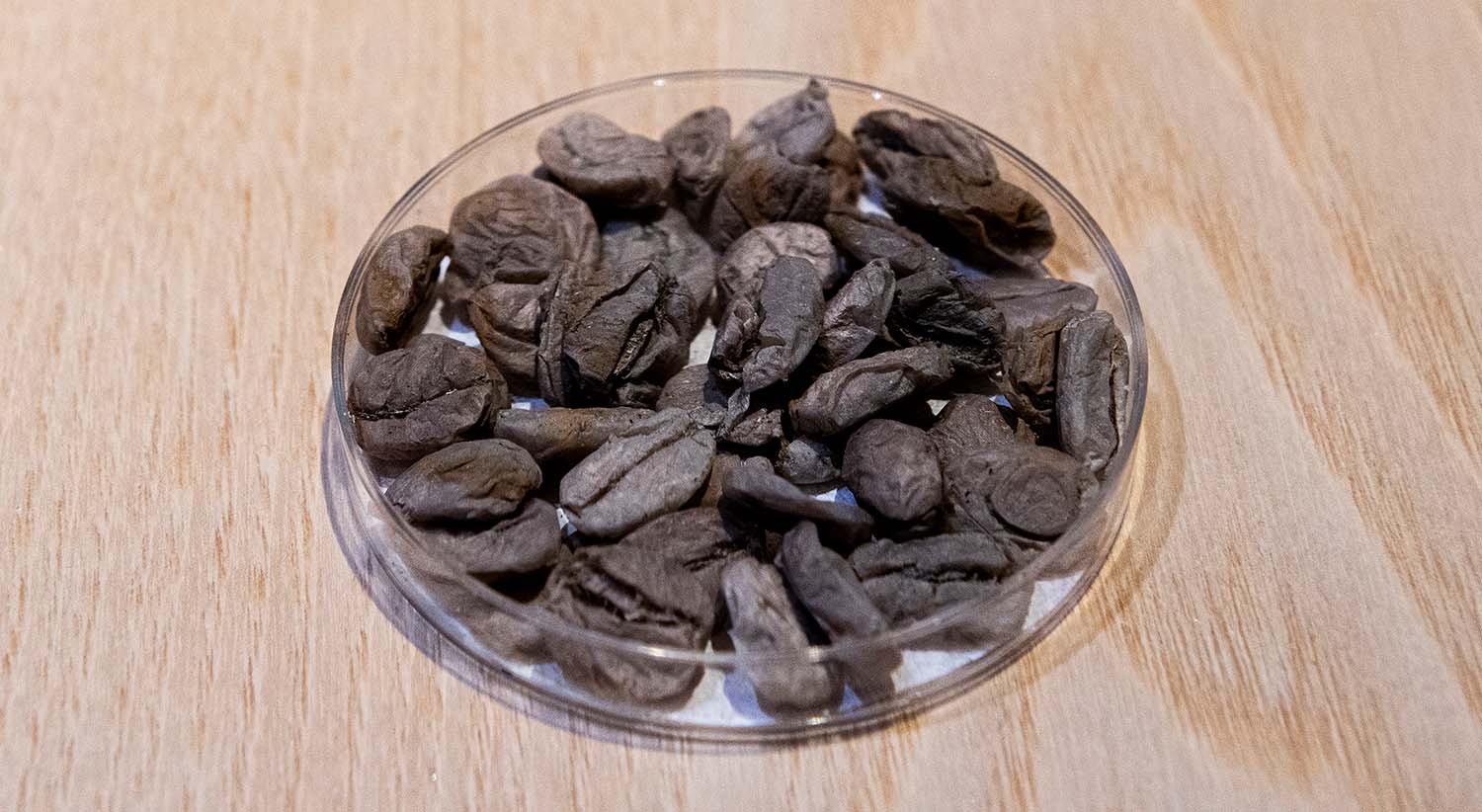 kaffebönor.jpg