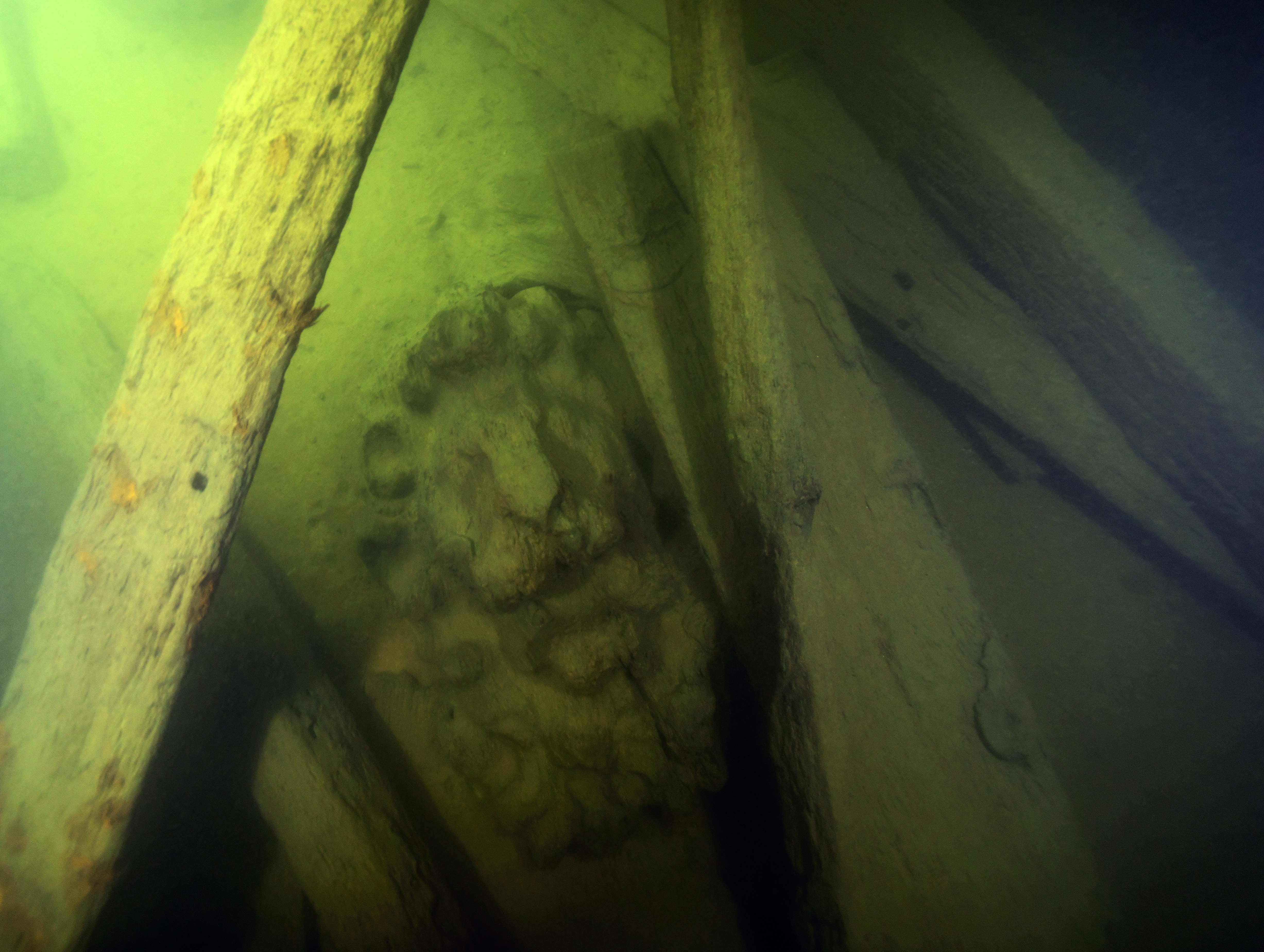 The left lion in the Swedish national coat of arms, from a distance