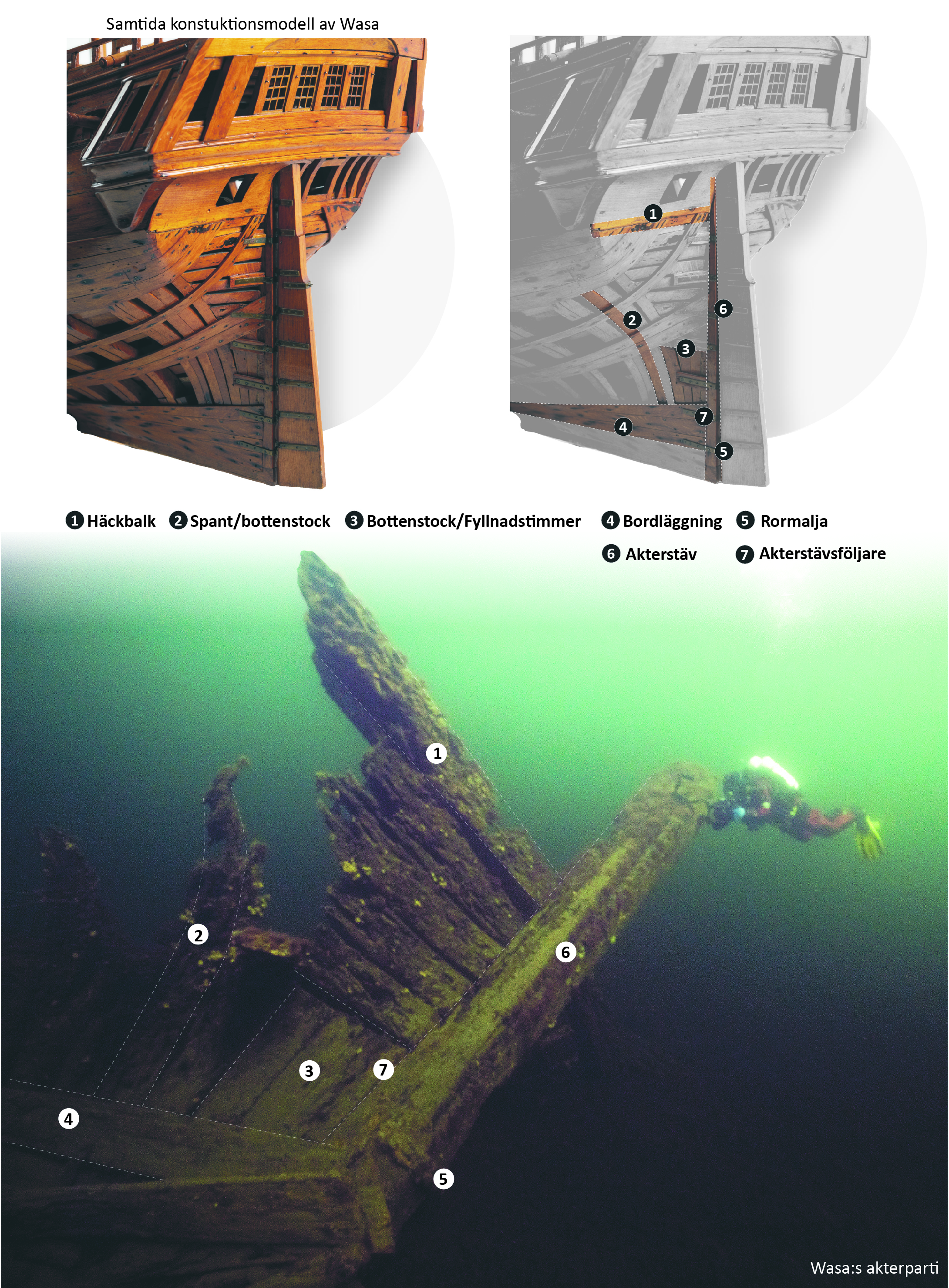 Detaljer i akterpartiet är identiska med den samtida modellen av Wasa från Marinmuseum.