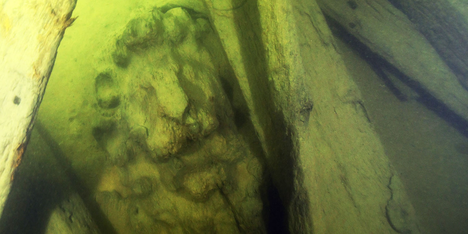 Konturerna av ett utskuret lejonhuvud syns på en av stockarna bland vrakdelar.