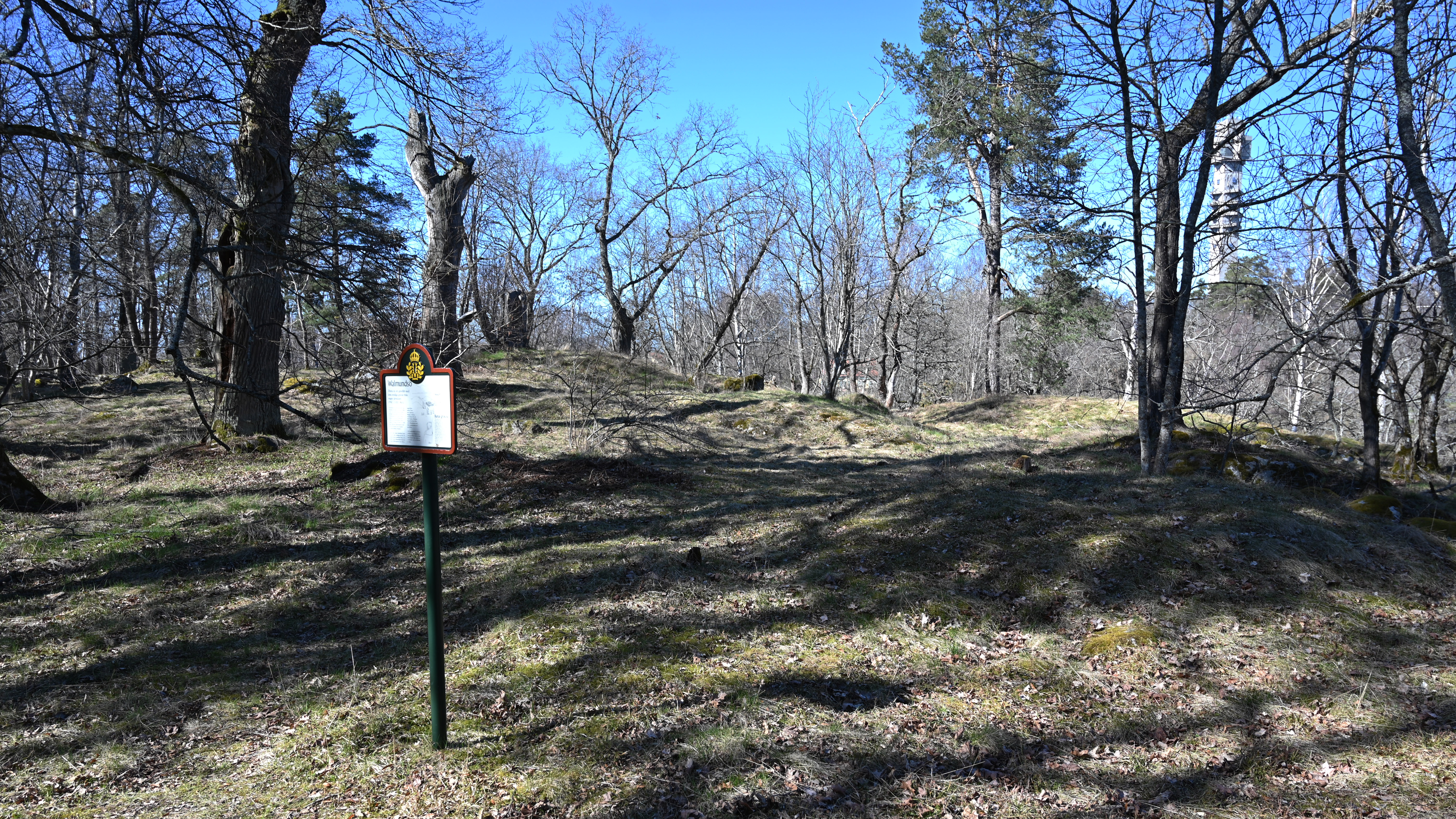 Gräsbevuxna gravhögar med träd och Kaknästornet i bakgrunden. En skylt i förgrunden. 