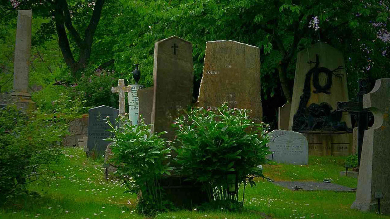 Foto av gamla gravstenar på lummig kyrkogård.