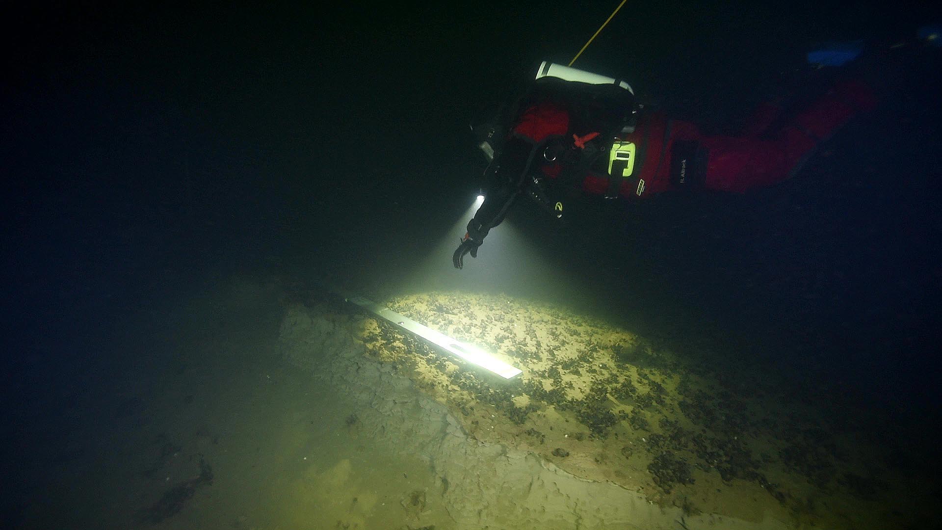 En dykare lyser med sin ficklampa på en vrakdel i vattnet. 