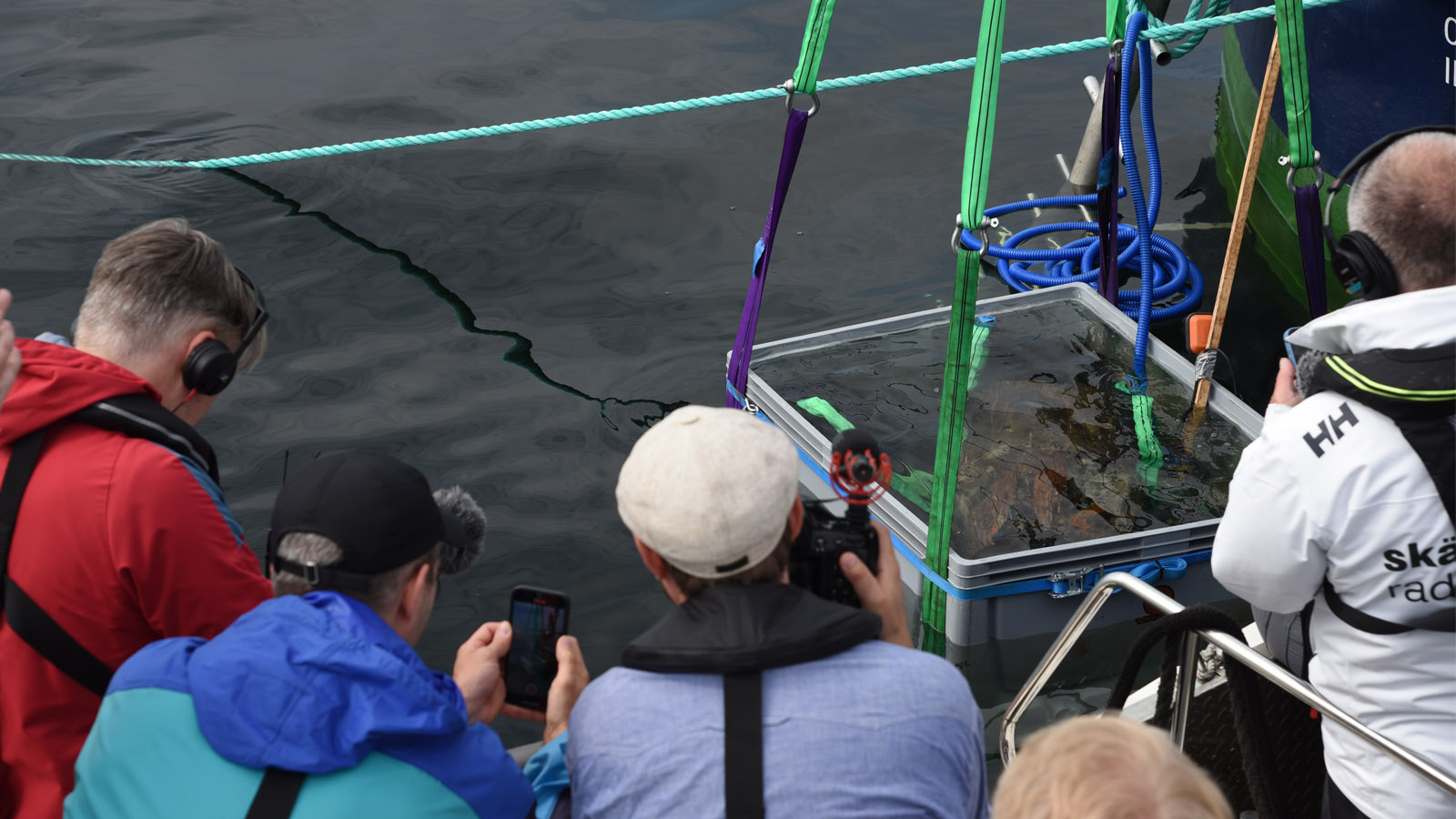 Journalists are documenting salvage of a find from the Baltic Sea. 