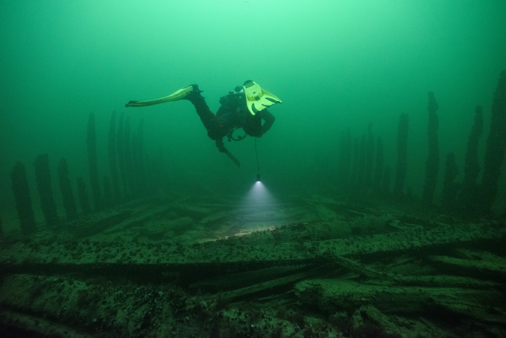 Gröntonad undervattensbild av dykare som simmar mellan stående träpålar som sticker upp på sidorna av ett skeppsvrak. 