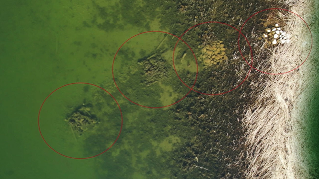 Photo taken from above of beach and sea with red circles around historical findings.