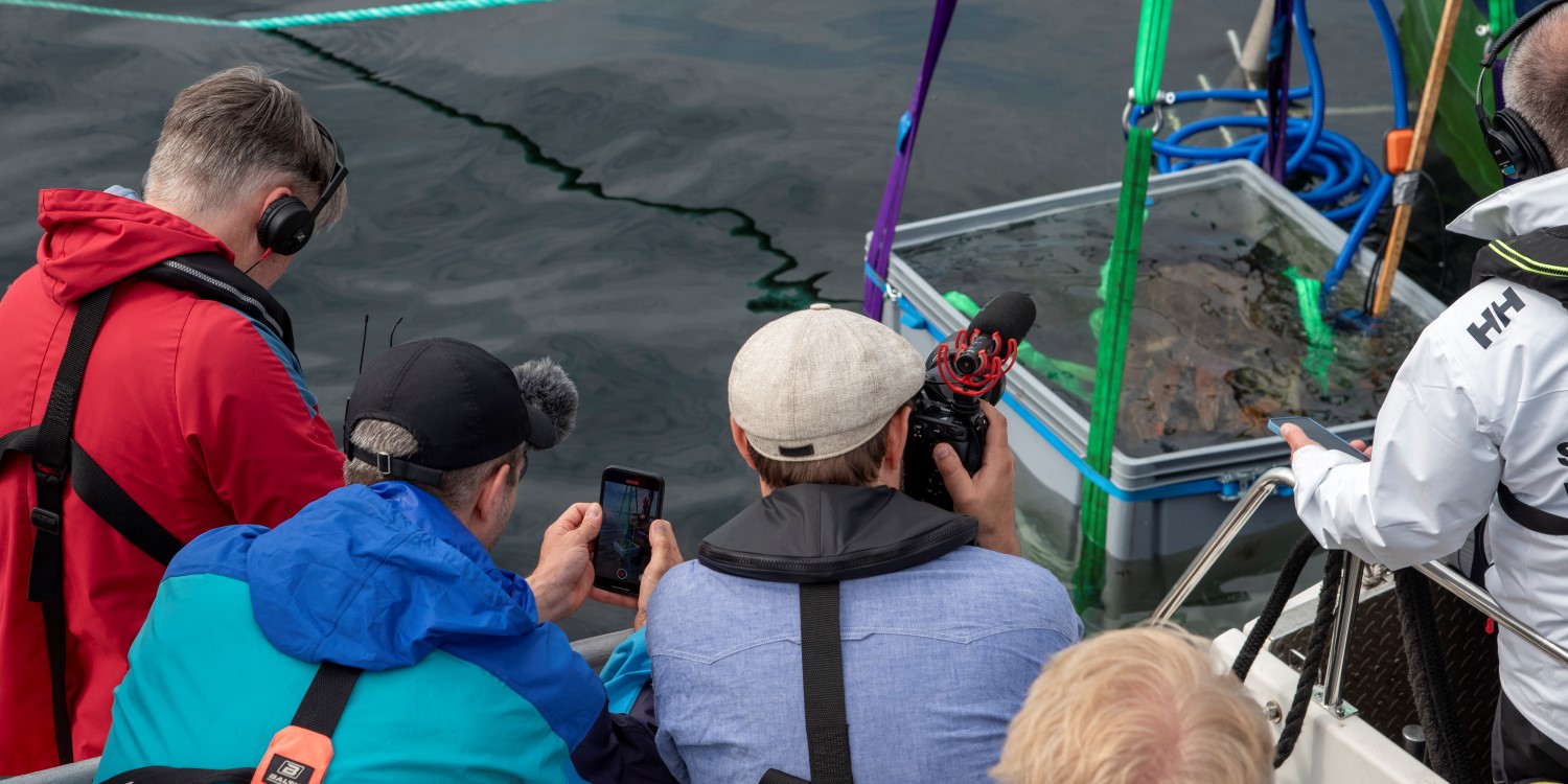 Flera personer dokumenterar en upphissad genomskinlig behållare med fynd från havet.