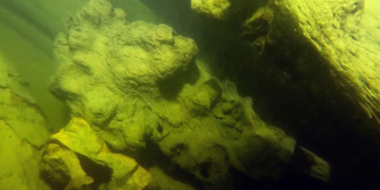 Undervattensfoto av lejonskulptur från skeppet Äpplet, lejonet syns i mörkt, gröntonat vatten.